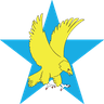 Macrofast logo
